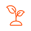 Orange outline of a plant on a white background